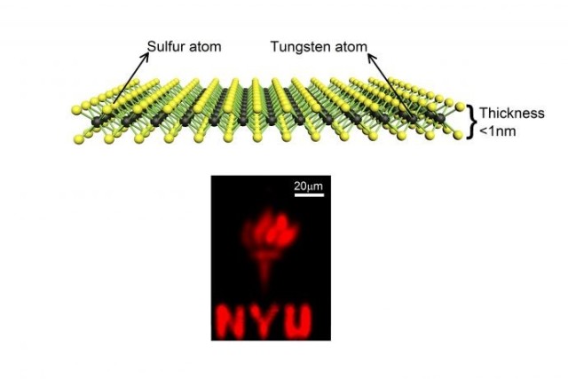 Nano Tungsten Disulfide