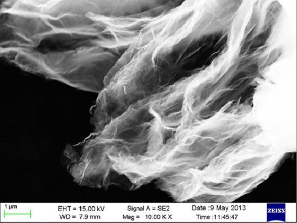 SEM (Scanning Electron Microscope) Image of Graphene